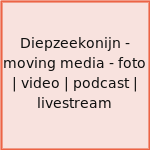 Diepzeekonijn - moving media - foto | video | podcast | livestream